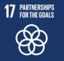 PSAU Progress, policy and progress against SDG17